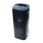 Altoparlant Karaoke VIVAX BS-1000 me 100W dhe 2 mikrofonë pa tel